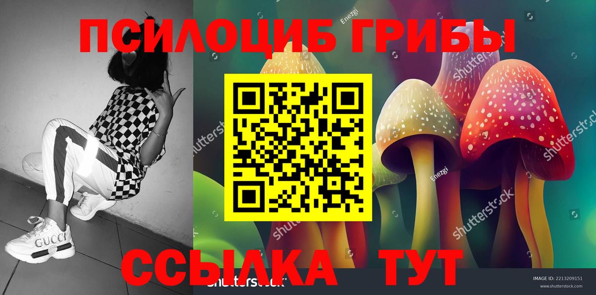 Галлюциногенные грибы прущие грибы  Вход с VPN  Ахтубинск 
